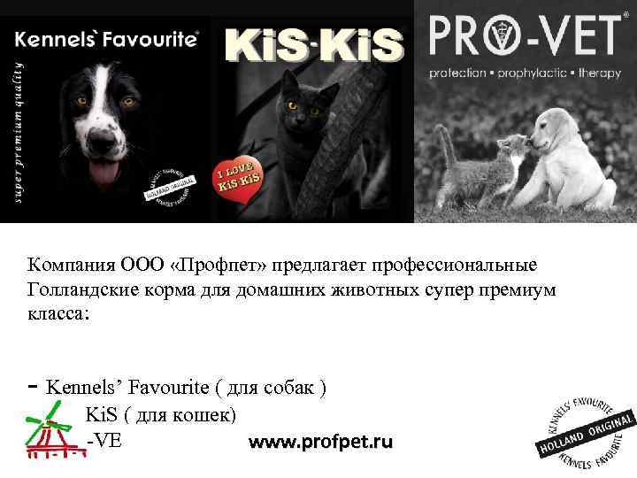 Компания ООО «Профпет» предлагает профессиональные Голландские корма для домашних животных супер премиум класса: -