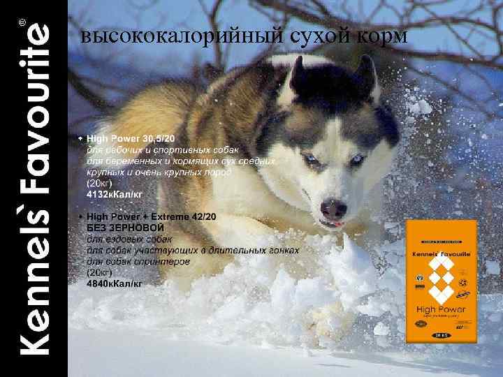 высококалорийный сухой корм 