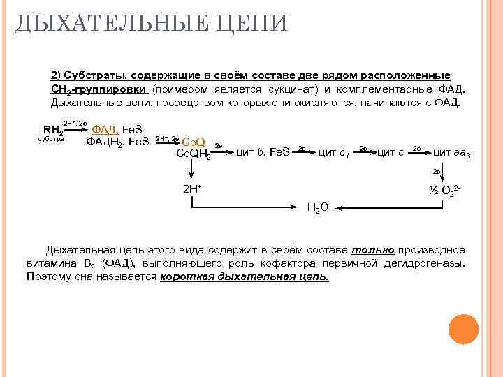 ДЫХАТЕЛЬНЫЕ ЦЕПИ 2) Субстраты, содержащие в своём составе две рядом расположенные СН 2 -группировки