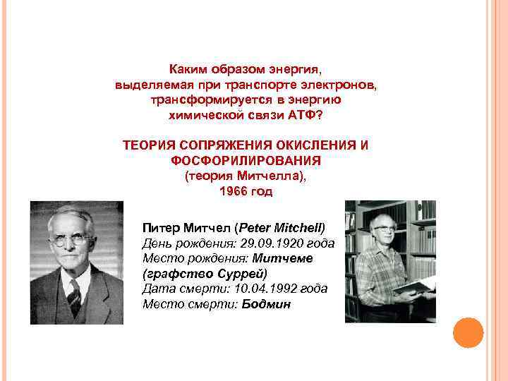 Каким образом энергия, выделяемая при транспорте электронов, трансформируется в энергию химической связи АТФ? ТЕОРИЯ