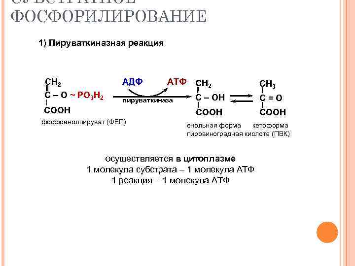 СУБСТРАТНОЕ ФОСФОРИЛИРОВАНИЕ 1) Пируваткиназная реакция СН 2 АДФ С – О ~ РО 3