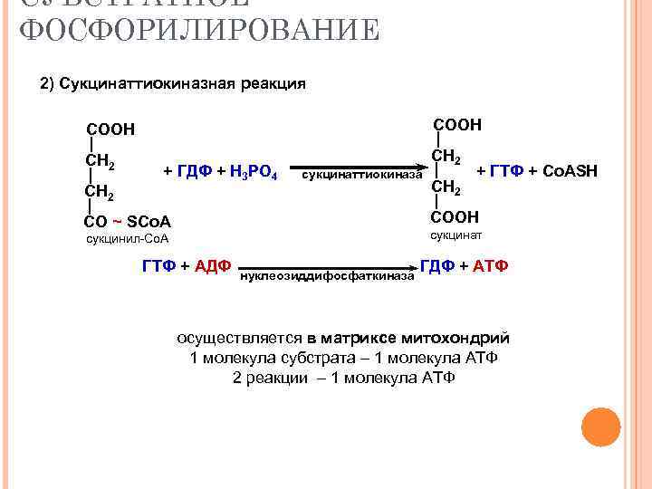 СУБСТРАТНОЕ ФОСФОРИЛИРОВАНИЕ 2) Сукцинаттиокиназная реакция СООН СН 2 + ГДФ + Н 3 РО