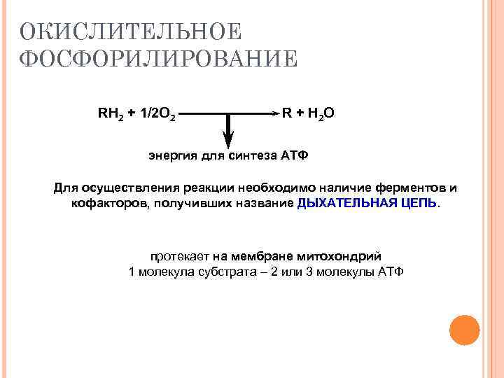 ОКИСЛИТЕЛЬНОЕ ФОСФОРИЛИРОВАНИЕ RH 2 + 1/2 O 2 R + Н 2 O энергия