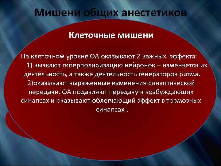 Мишени общих анестетиков Клеточные мишени Анатомические мишени На клеточном уровне ОА оказывают 2 важных