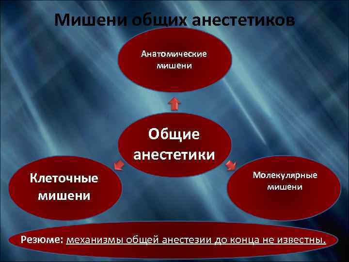 Мишени общих анестетиков Анатомические мишени Общие анестетики Клеточные мишени Молекулярные мишени Резюме: механизмы общей