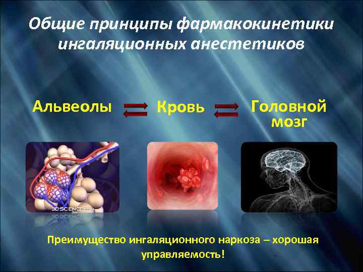 Общие принципы фармакокинетики ингаляционных анестетиков Альвеолы Кровь Головной мозг Преимущество ингаляционного наркоза – хорошая