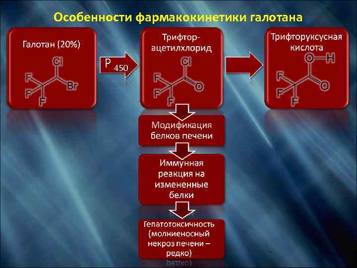 Особенности фармакокинетики галотана P 450 