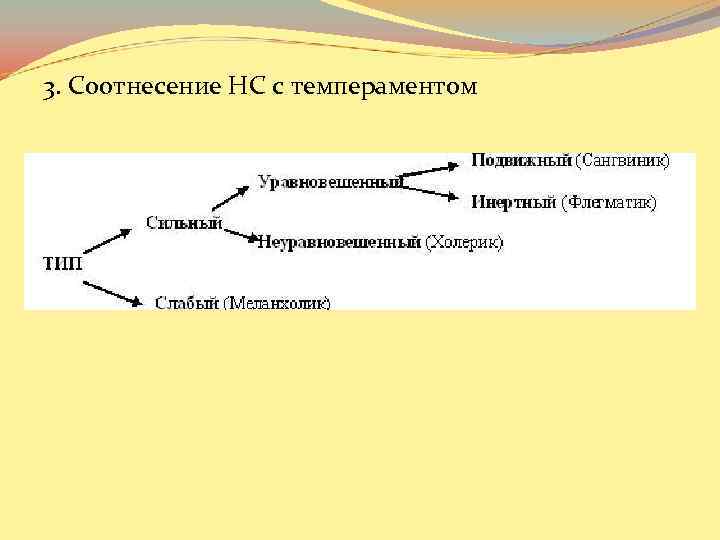 3. Соотнесение НС с темпераментом 