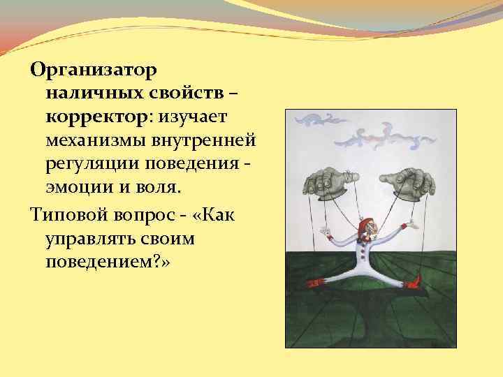Организатор наличных свойств – корректор: изучает механизмы внутренней регуляции поведения - эмоции и воля.