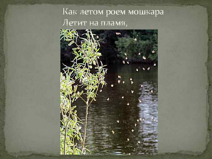 Как летом роем мошкара Летит на пламя, 