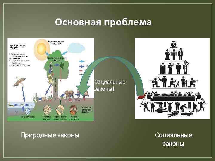 Социальный закон виды. Социальные законы. Признаки социальных законов. Социально-природные законы. Основной социальный закон.