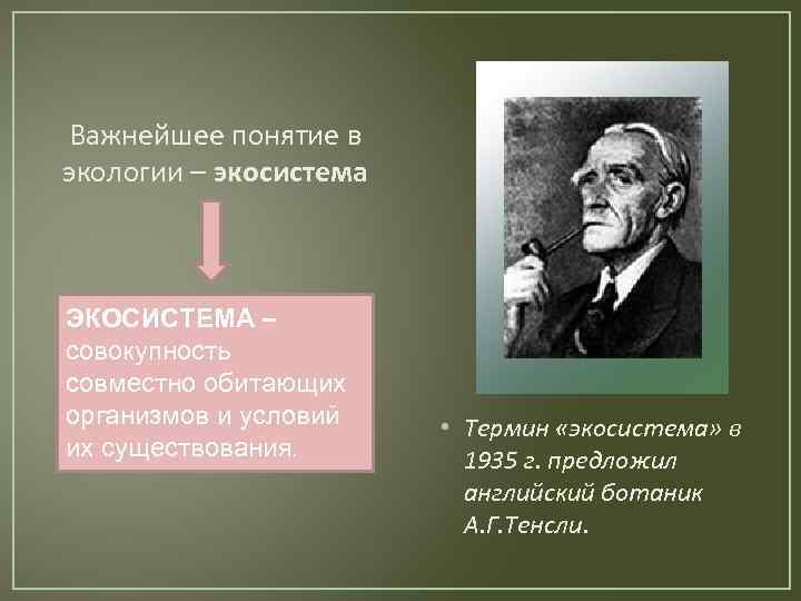 Важнейшее понятие в экологии – экосистема ЭКОСИСТЕМА – совокупность совместно обитающих организмов и условий