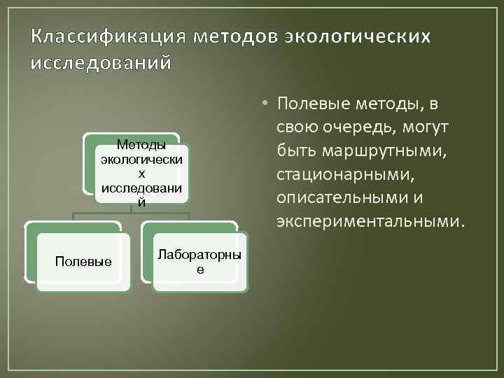 Классификация методов экологических исследований Методы экологически х исследовани й Полевые Лабораторны е • Полевые