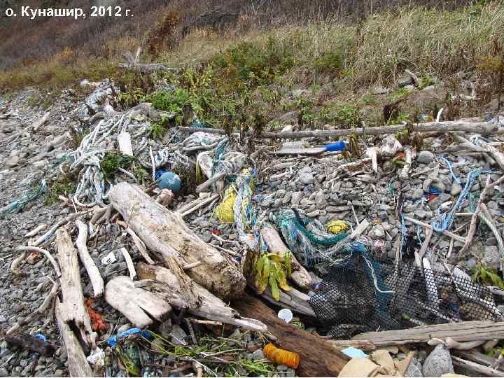 о. Кунашир, 2012 г. 