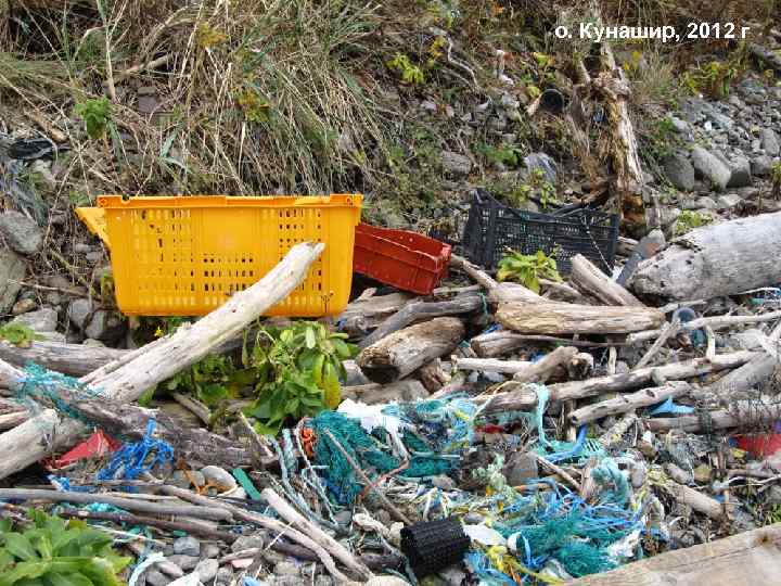 о. Кунашир, 2012 г 