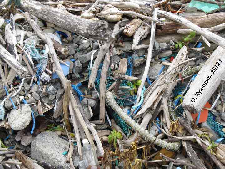 О. р, ши Ку на 20 12 г 