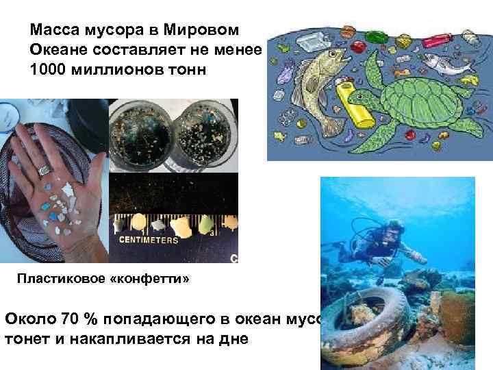 Масса мусора в Мировом Океане составляет не менее 1000 миллионов тонн Пластиковое «конфетти» Около