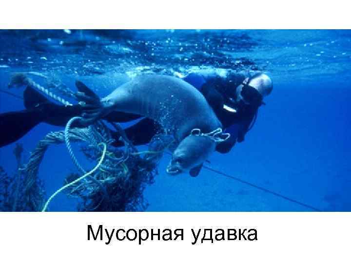 Мусорная удавка 