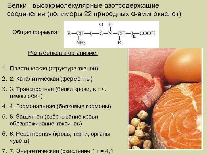 Белки - высокомолекулярные азотсодержащие соединения (полимеры 22 природных α-аминокислот) Общая формула: Роль белков в