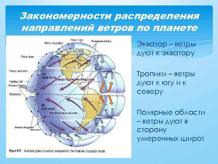 Закономерности распределения направлений ветров по планете Экватор – ветры дуют к экватору Тропики –
