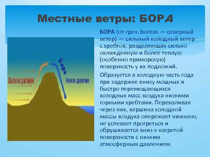 Местные ветры: БОРА (от греч. boreas — северный ветер) — сильный холодный ветер с
