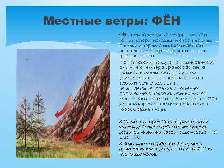 Местные ветры: ФЁН (теплый западный ветер) — сухой и теплый ветер, нисходящий с гор