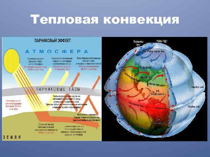 Тепловая конвекция 