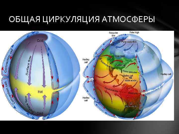 ОБЩАЯ ЦИРКУЛЯЦИЯ АТМОСФЕРЫ 