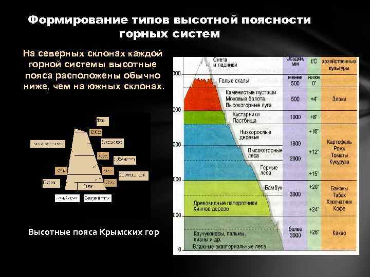 Формирование типов высотной поясности горных систем На северных склонах каждой горной системы высотные пояса