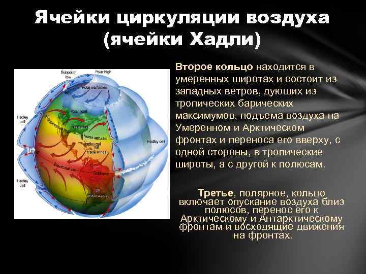 Ячейки циркуляции воздуха (ячейки Хадли) Второе кольцо находится в умеренных широтах и состоит из