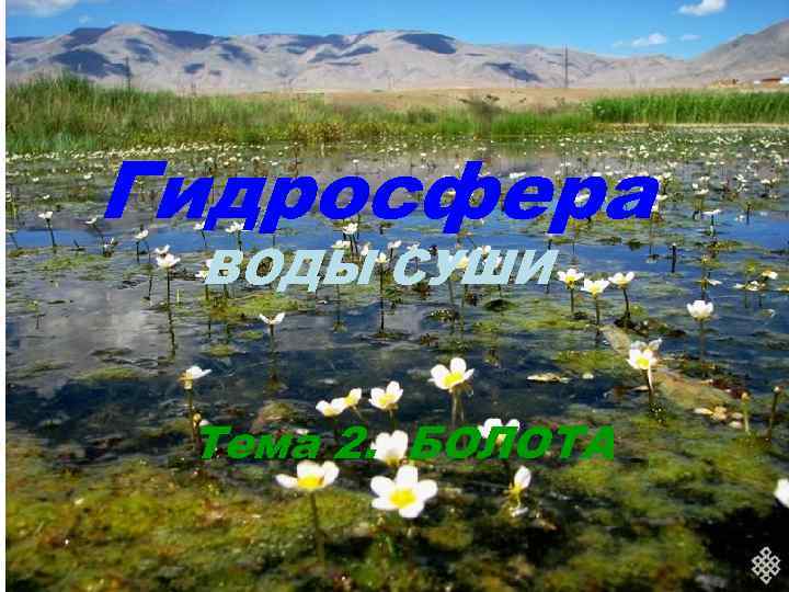 Гидросфера ВОДЫ СУШИ Тема 2. БОЛОТА 