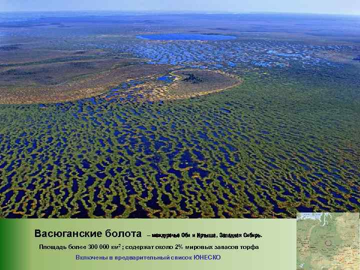 Васюганские болота – междуречье Оби и Иртыша, Западная Сибирь. Площадь более 300 000 км