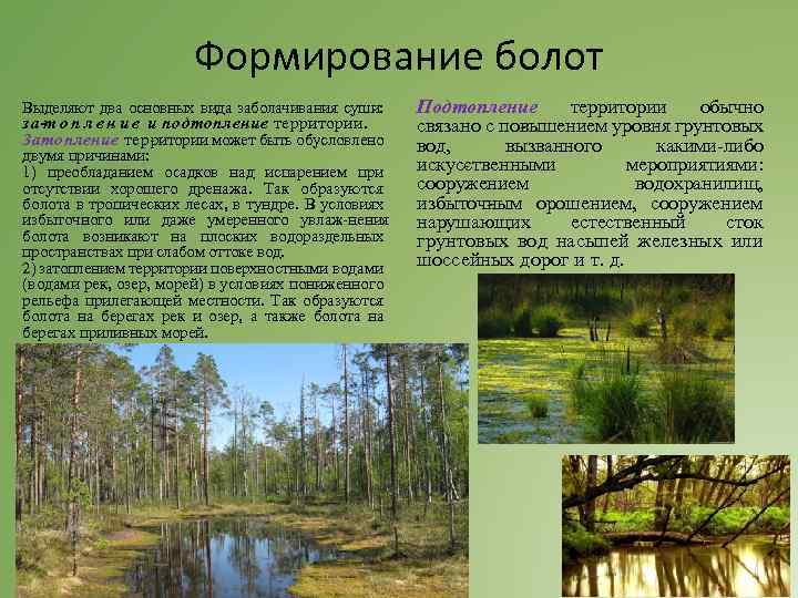 Формирование болот Выделяют два основных вида заболачивания суши: з а о п л е