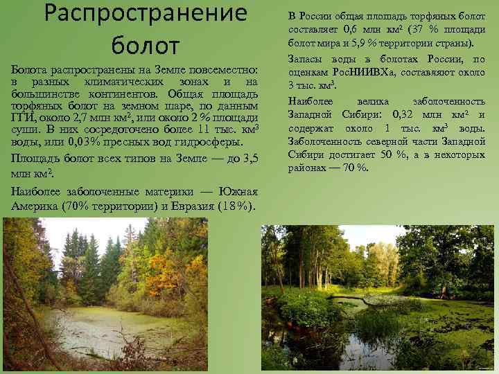 Распространение болот Болота распространены на Земле повсеместно: в разных клима ических зонах и на