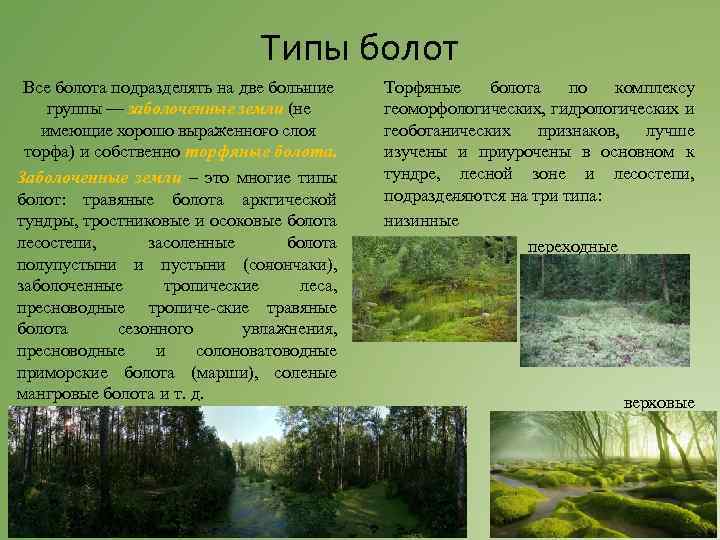 Типы болот Все болота подразделять на две боль ие ш группы — заболоченные земли