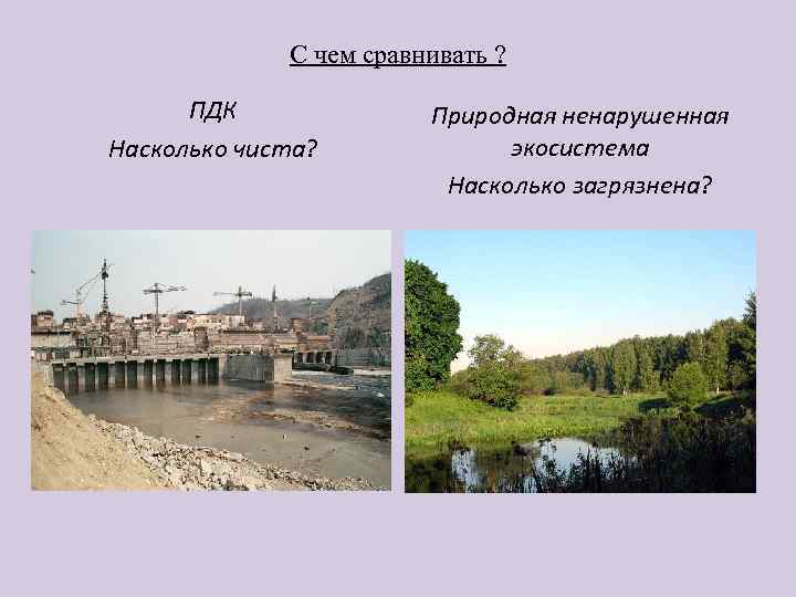 С чем сравнивать ? ПДК Насколько чиста? Природная ненарушенная экосистема Насколько загрязнена? 