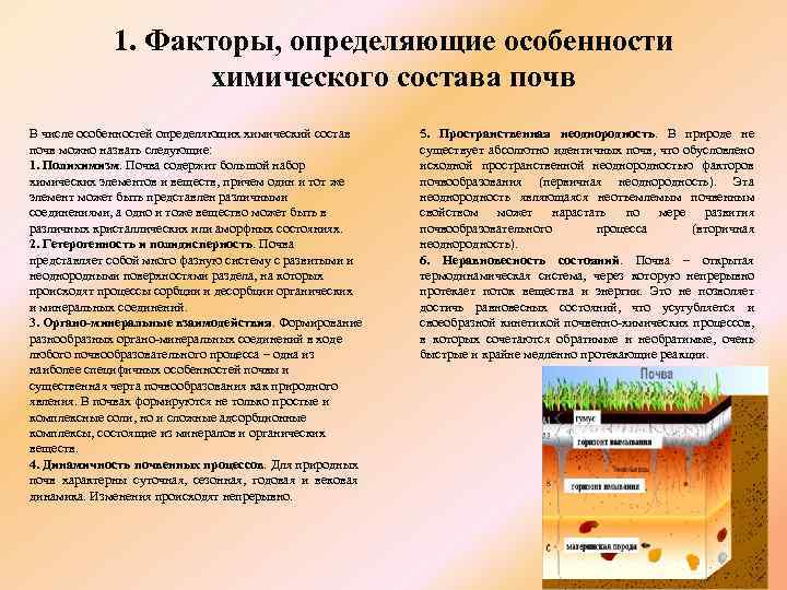 1. Факторы, определяющие особенности химического состава почв В числе особенностей определяющих химический состав почв