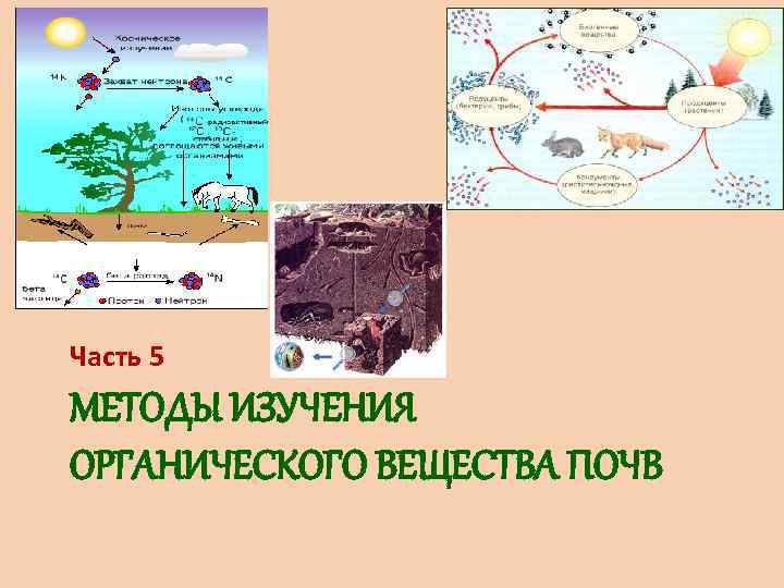 Часть 5 МЕТОДЫ ИЗУЧЕНИЯ ОРГАНИЧЕСКОГО ВЕЩЕСТВА ПОЧВ 