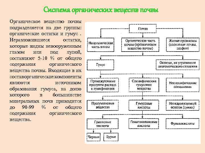 Система органических веществ почвы Органическое вещество почвы подразделяется на две группы: органические остатки и