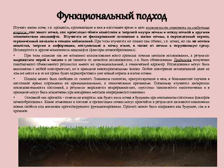 Функциональный подход Изучает жизнь почв, т. е. процессы, протекающие в них в настоящее время