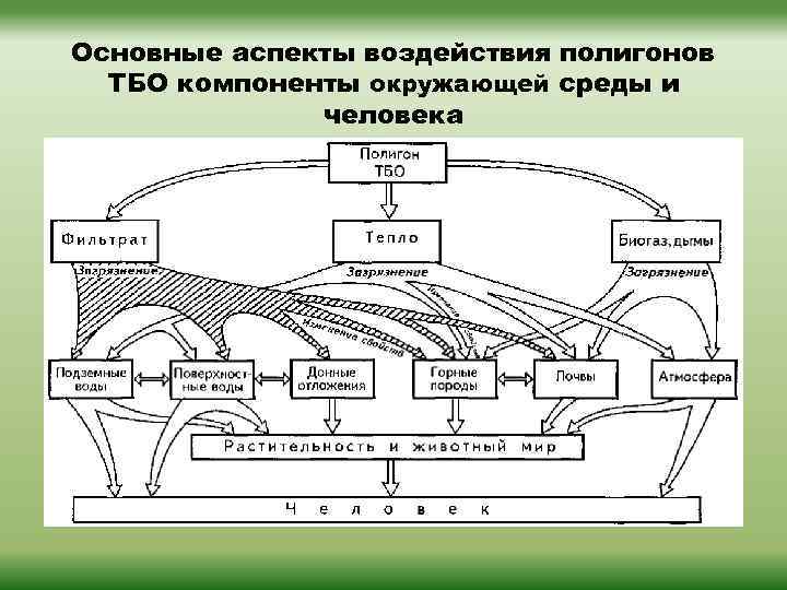 Основные аспекты воздействия полигонов ТБО компоненты окружающей среды и человека 