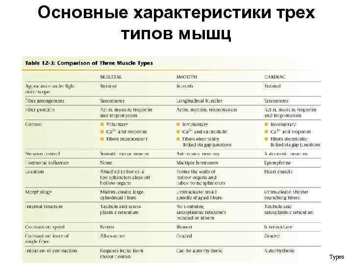 Основные характеристики трех типов мышц Table 12 -3: Comparison of Three Muscle Types 