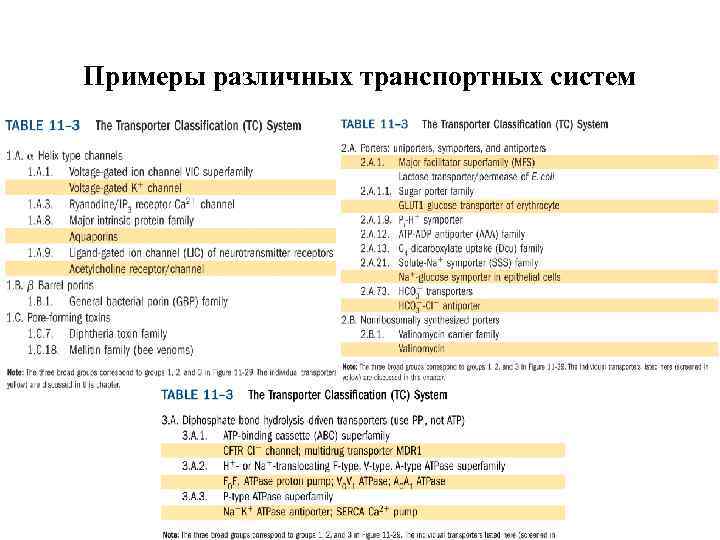 Примеры различных транспортных систем 