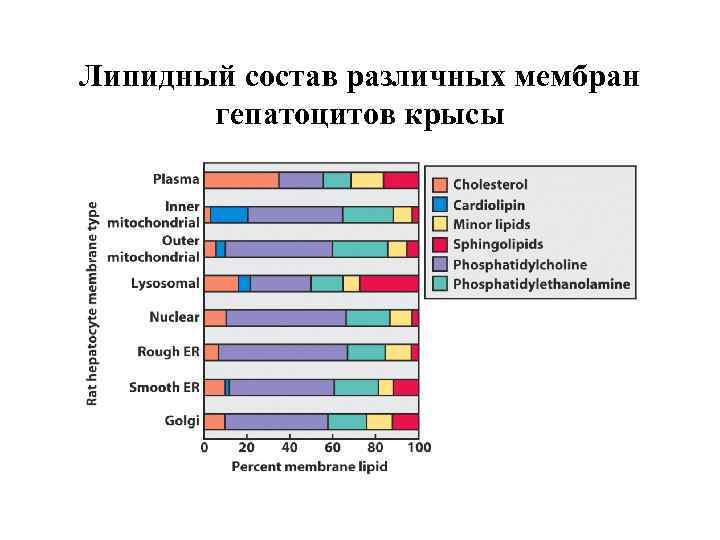 Липидный состав различных мембран гепатоцитов крысы 