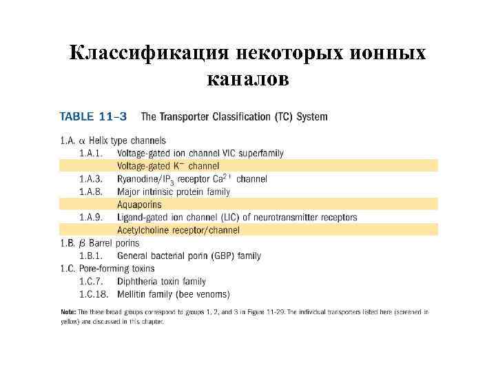 Классификация некоторых ионных каналов 