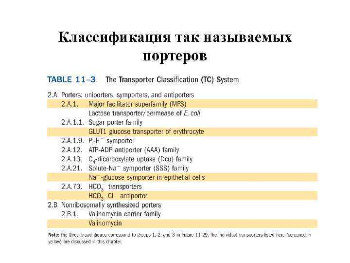 Классификация так называемых портеров 
