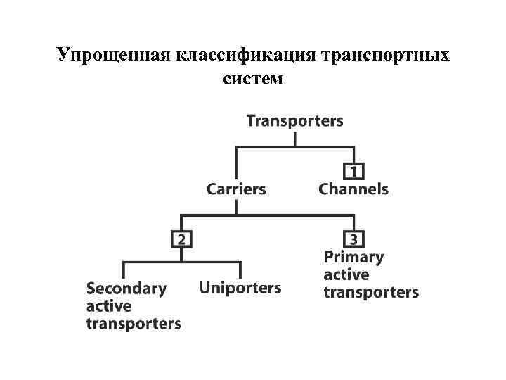 Упрощенная классификация транспортных систем 
