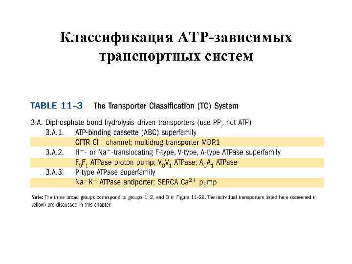 Классификация АТР-зависимых транспортных систем 