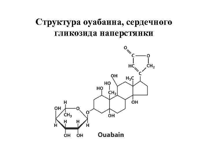 Структура оуабаина, сердечного гликозида наперстянки 