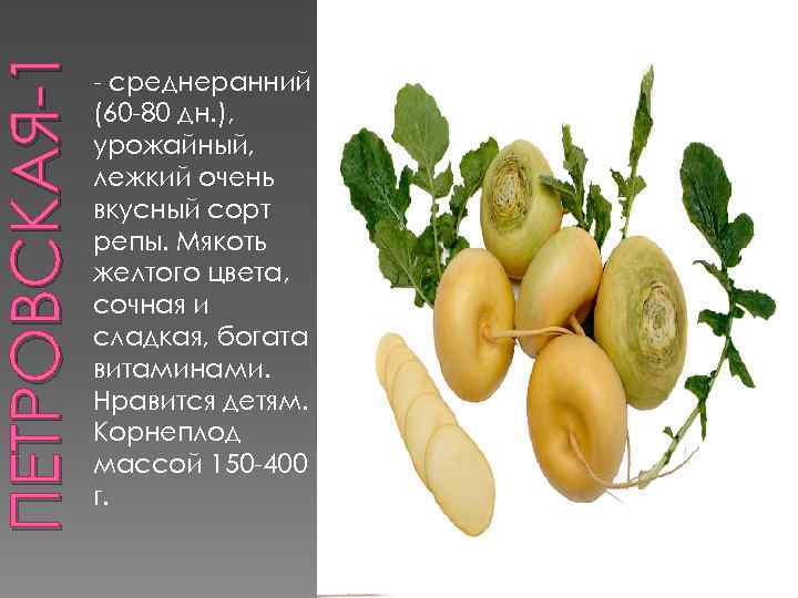 ПЕТРОВСКАЯ-1 - среднеранний (60 -80 дн. ), урожайный, лежкий очень вкусный сорт репы. Мякоть